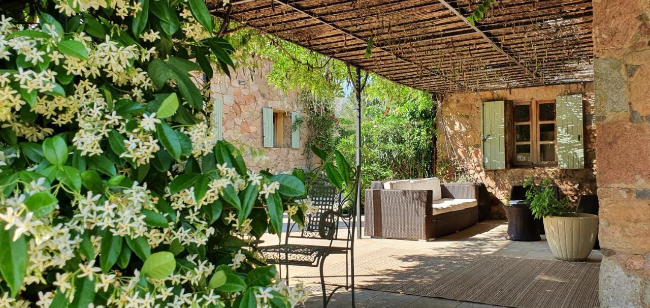 Domaine Codaleone Serriera  Extérieur photo