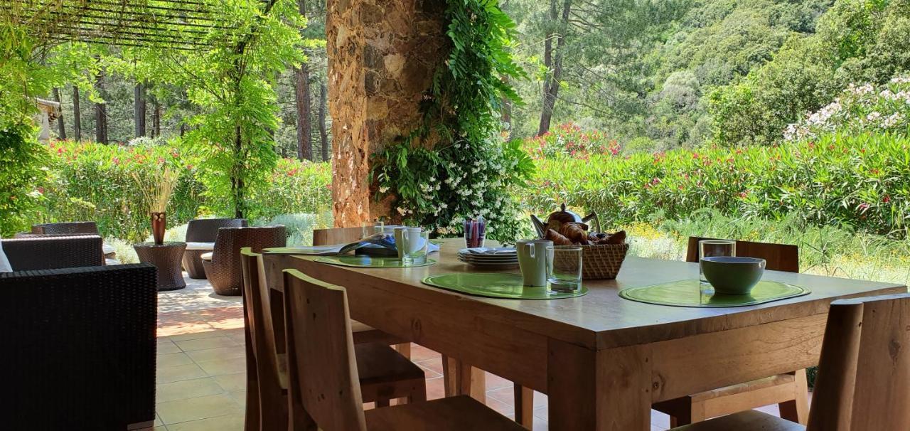 Domaine Codaleone Serriera  Extérieur photo